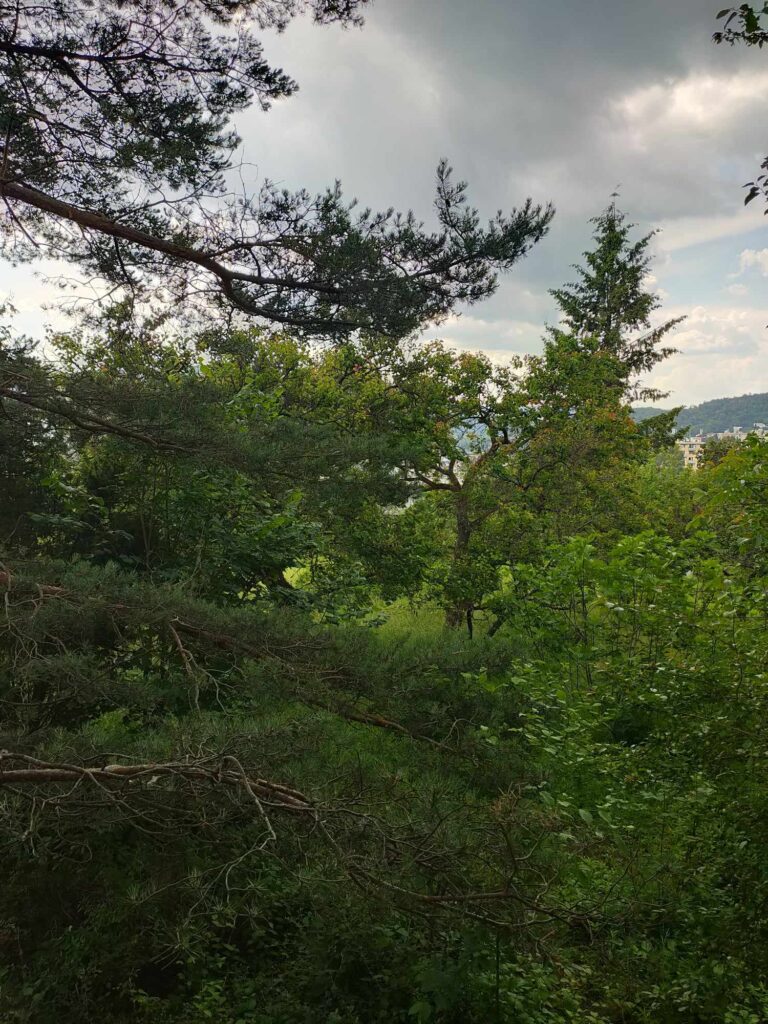 Pohled na zahradu pobytu ve tmě